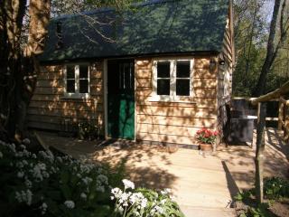 Cabin in the Woods - Ardingly - 0