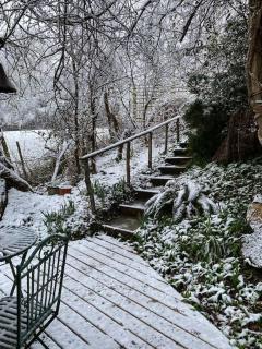 Cabin in the Woods - Ardingly - 5