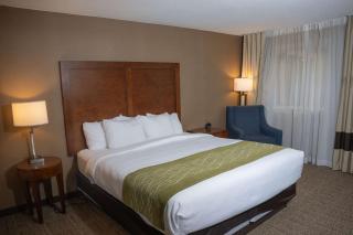 Comfort Inn & Suites - Erie - 7