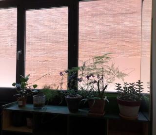 Logement de charme aux Carmes - Toulouse - 3