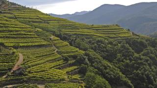 Cà Dina - Appartamento in Val di Cembra - 0