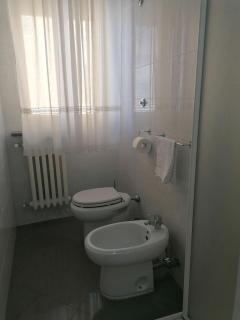 Fenicottero Rosa - 1