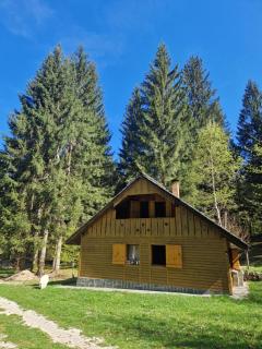 Koča v gozdu, Forest house near Bled - Bled - 2