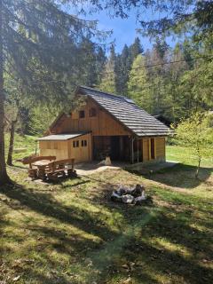 Koča v gozdu, Forest house near Bled - Bled - 7