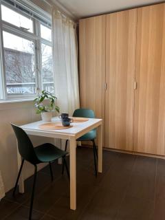 Reykjavik city center - Privat studio apartment - Reykjavík - 2