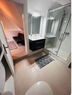 Très belle maison lac d Enghien les bains 15 min Paris - 6