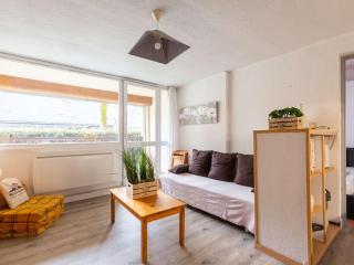 Charmant T2 à Saint-Lary, 4 pers., Balcon Sud, Wifi Gratuit, Navette Proche - FR-1-296-288 - Saint-Lary-Soulan - 0