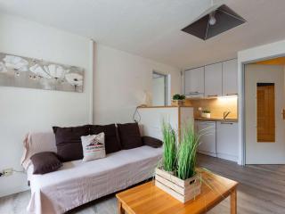 Charmant T2 à Saint-Lary, 4 pers., Balcon Sud, Wifi Gratuit, Navette Proche - FR-1-296-288 - Saint-Lary-Soulan - 9