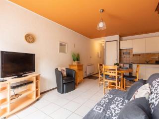 Duplex pour 6 pers, plein sud, proche thermes et télécabine, parking privé - Saint-Lary-Soulan - FR-1-296-297 - Saint-Lary-Soulan - 8