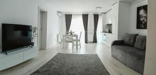 Artec Magnolia Apartment - Sibiu - 9