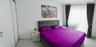Artec Magnolia Apartment - Sibiu - 5