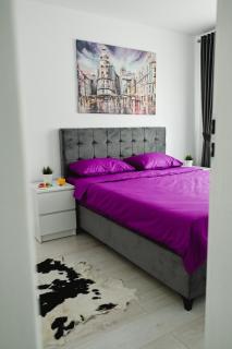 Artec Magnolia Apartment - Sibiu - 6