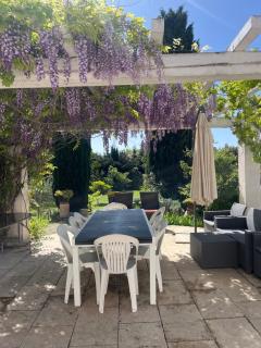 Ibis - villa avec piscine, jardin et parking - Arles - 6