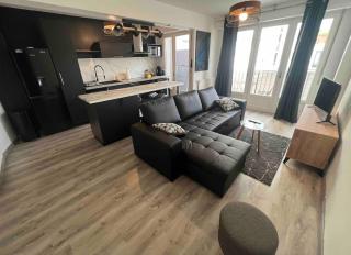 Superbe Appart+Parking PAU- Place Verdun - Pau - 0