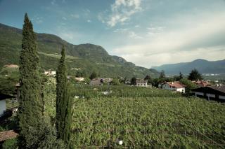 Hotel Ladurner - 1