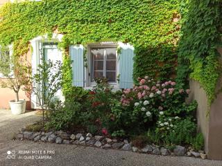 La Rose des Claux - Fayence - 4