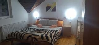 Vila Lenka Sokobanja - Sokobanja - 1