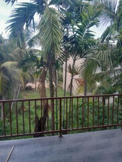 Holiday Home for Foreign Tourists only - Anuradhapura - 3