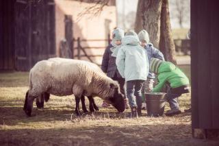Ferienhof Middenmank - Glaisin - 3