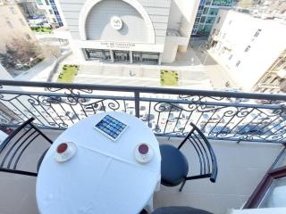 Central Spacious Flat-right in front of the subway - Baku - 9