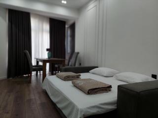 Central Spacious Flat-right in front of the subway - Baku - 6