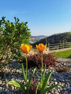 Villa Duno a un passo da Città Alta - Clanezzo - 2