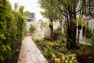 Phuping Valley Resort - Tak - 8