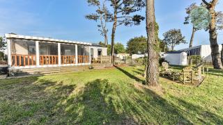 Parc des Roselieres - Saint-Hilaire-de-Riez - 4