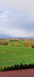 Ferienwohnung Seeblick - Neu Schloen - 6