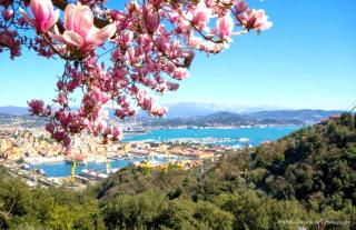 CASA TARTARUGA - La Spezia - 0