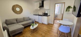 Appartement moderne et contemporain, Wifi, 2 pers - Pau - 9