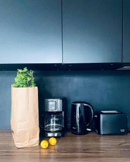 Apartament MONSTERA - Dziwnówek - 4