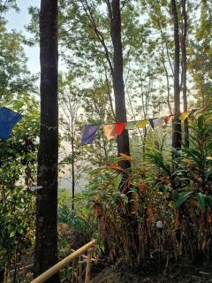 Evara by The Offbeat Crew - Idukki - 9