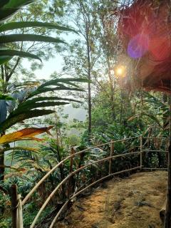 Evara by The Offbeat Crew - Idukki - 4