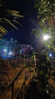 Evara by The Offbeat Crew - Idukki - 1