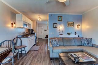 Kraken's Den * Oceanview * Steps to ocean * Pool - Carolina Beach - 8