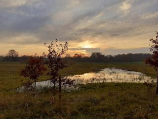 Rust een weinig aan de Vecht - 3