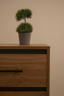 Emily Apartments 3 - Chrysoupolis - 3