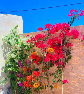 Villa Loubna - Essaouira - 7