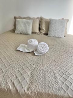 Lindo apartamento de 3 quartos bem amplo próximo a Rua de Lazer Domingos Martins - Domingos Martins - 1