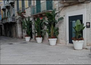 Locus Pendinelli Trani 53-The philosophy of a bb, the details of a Hotel - Trani - 8