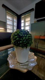 BEACH APARTMAN, terrace, AC, free parking, BBQ, wifi - 0