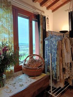 Casa Dell'Arte Botanica - Palaia - 7