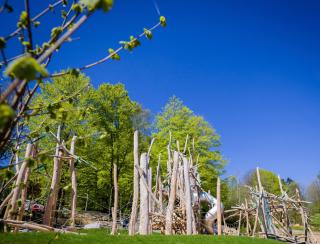 Ferienpark Geyersberg inklusive aktivCARD Bayerischer Wald - Freyung - 0