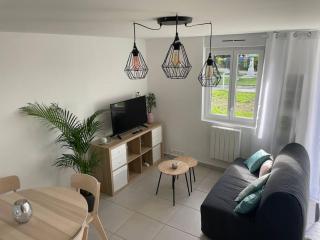 Thuit de l'Oison - Superbe appartement F2 duplex - Le Thuit-Simer - 9