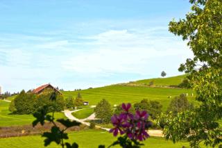 Hotel Allgäu Garni - Scheidegg - 9