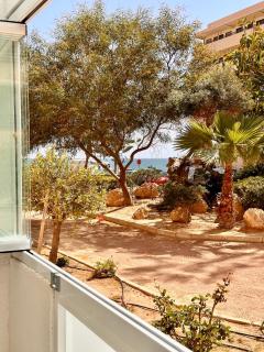 Casa Blanca apartment first line La Mata - Torrevieja - Torrevieja - 8