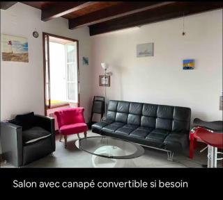 La maison du marais - Grand-Village-Plage - 7