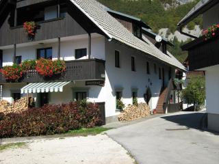 Apartmaji Hodnik Stara Fužina - 0