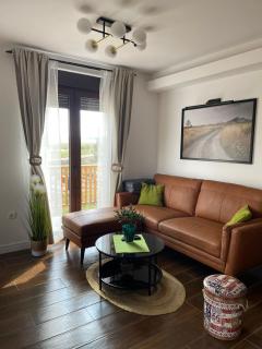 Jelena Lux Apartmani - Zlatibor - Tornik - Čajetina - 7